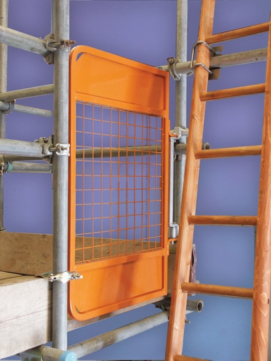 Ladder Access Gate